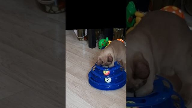 5 августа 2024 г. смотреть онлайн