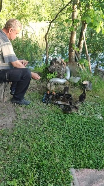 Приходится подкармливать молодёжь. смотреть онлайн