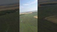 6 апреля 2021 г.