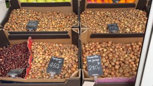 КУПИЛИ ЛУК СЕВОК. ПОКУПКИ