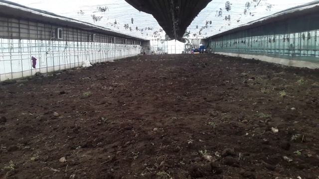 Подготовка почвы. Раскидка перегноя #землядел #выращи?