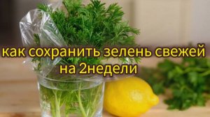 Как сохранить зелень свежей на 2 недели: секреты наших бабушек и современных лайфхаков