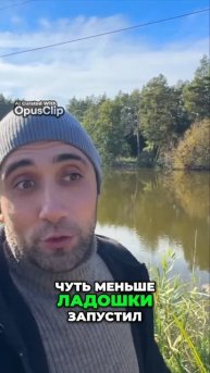 Секреты успешного разведения карпов в пруду