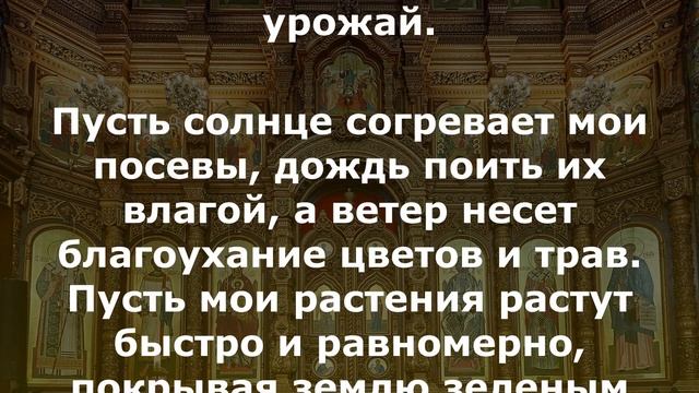 Молитва чтобы всё росло в огороде