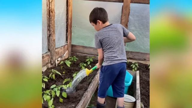 "Мой чудесный огород" 2 класс смотреть онлайн