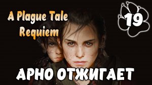 АРНО ОТЖИГАЕТ \ A Plague Tale: Requiem #19