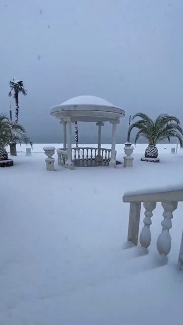 23 февраля 2025 г.