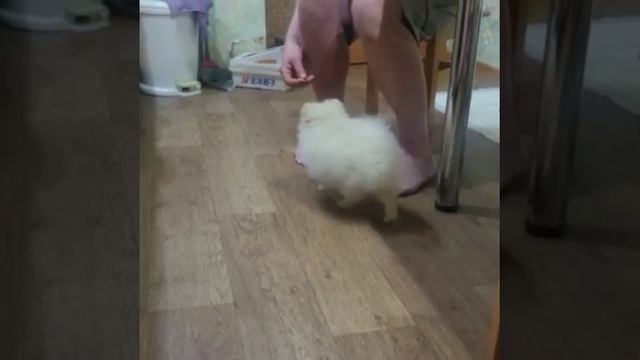 наша выпускница на Южно-Сахалинске ♥️