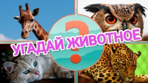 УГАДАЙ ЖИВОТНОЕ. ПОЗНАВАТЕЛЬНАЯ ВИКТОРИНА ДЛЯ ДЕТЕЙ 👨👩👧👦