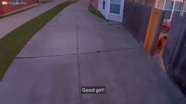 Incredible Moments Caught on CCTV Camera!