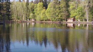 Утренний обзор с нижнего водоёма. Клёвое место, Лосиный остров.