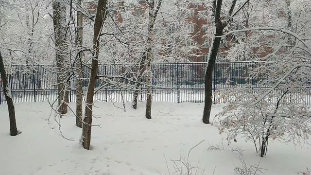 снежок смотреть онлайн