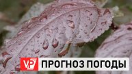 В ДЕНЬ ПОБЕДЫ ВОЛГОГРАДЦАМ ПООБЕЩАЛИ СОЛНЕЧНУЮ ПОГОДУ