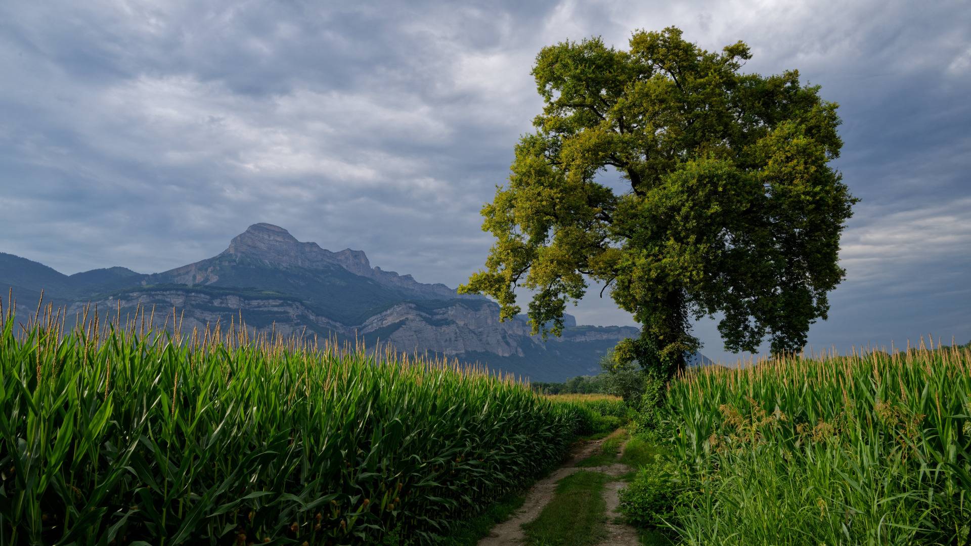 МОДЫ В МАЙНКРАФТ ЭТО ЧТО ТО ЖИЗНЕНОЕ смотреть онлайн