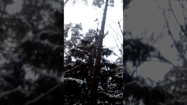 храни вас Бог друзья!!!