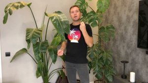 Стрелитция Николая: уход от посадки семян до взрослог?