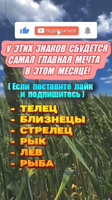 Приметы на удачу #приметы #эзотерика #таро #астрология