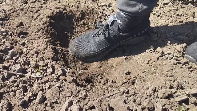 Посадка арбуза 5- того майя без с стартовым поливом смотреть онлайн