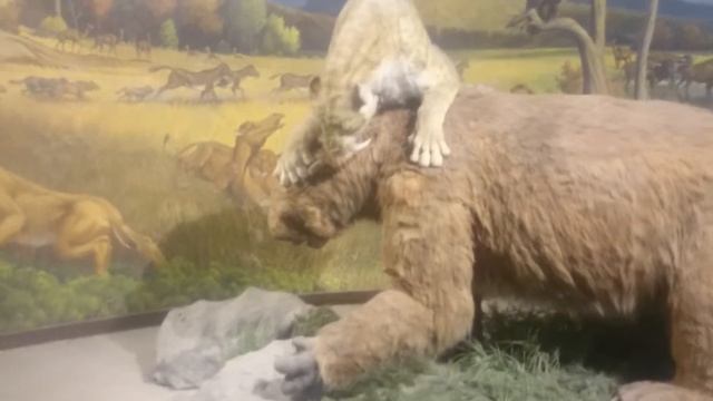 Ла Бреа Тар/ The La Brea Tar Pits &Museum смотреть онлайн