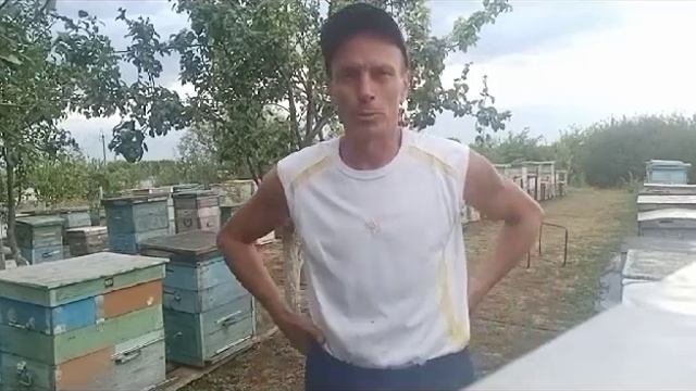 С Медовым Спасом !!! смотреть онлайн