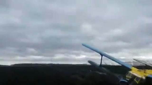 Татарстан  Вынужденная посадка самолёта Ан 2  Пострада