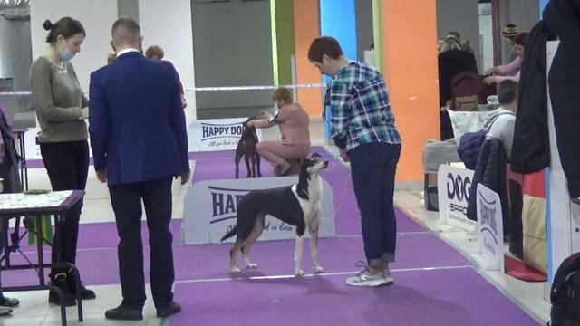 Грацел Буссоль. Спешиалти 22.02.2020 смотреть онлайн