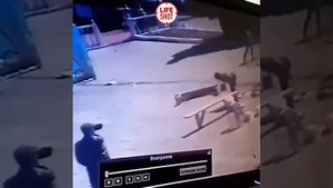 Батут улетел вместе с детьми в Улан-Удэ