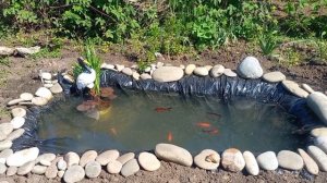 Добрый день!