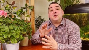 Биогумус для комнатных растений