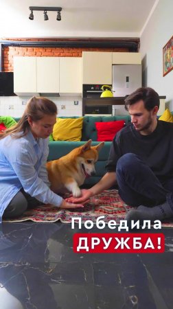 Эпизод 16. Дружба