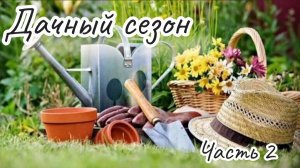 Дачный сезон 2025! Как перезимовал сад?