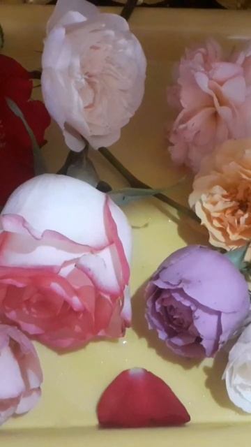 осенняя посадка 2022 год, уценка мощная от Елены Бутримо смотреть онлайн