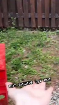 Сняли дом без мангала! Новый влог на канале