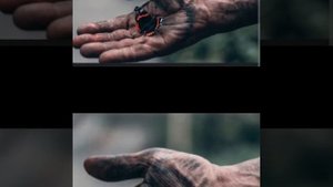 video20250506_013133.mp4