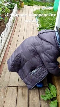давно их не было, опять появились