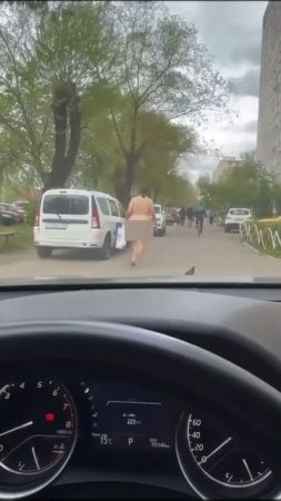 Не для слабонервных: полностью голая слониха решилась прошвырнуться по магазинам столицы