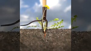 сверхмощный инструмент для выкапывания сорняков с ры