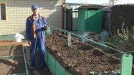 "Во саду ли, в огороде" ( выпуск от 17.05.2024)