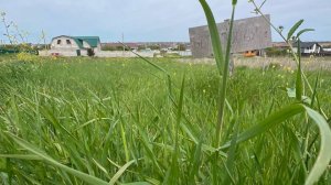 г.Феодосия - СНТ "Светоч"  5сот.