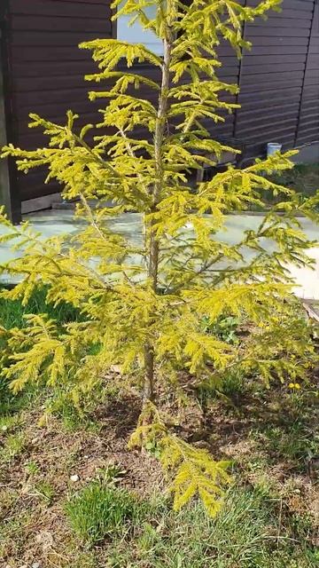 Работа на огороде смотреть онлайн