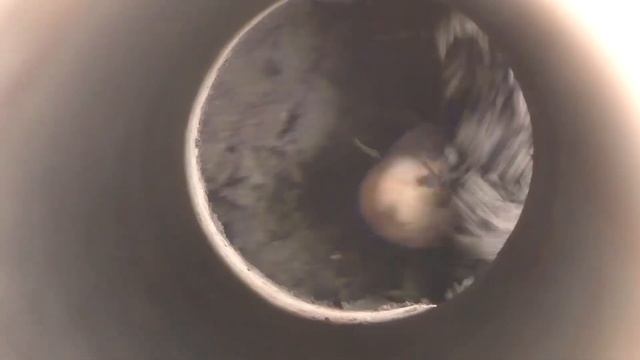 2015 04 20 посадка картошки смотреть онлайн