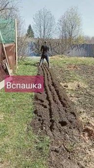 вспашка огорода #reels #sorts #рекомендации #семейныйканал #