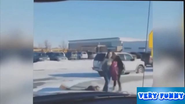 Прикольное видео часть 16 - Нестандартный прыжок с парашютом. Смешное видео. Приколы с животными смотреть онлайн