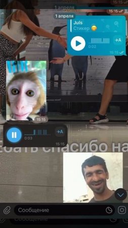 Стикеры+озвучка