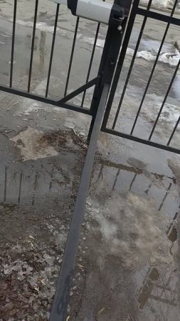 24 марта 2025 г., 13:54:33
Двор П. Осипенко 48 - калитка
VID_20250324_135407652