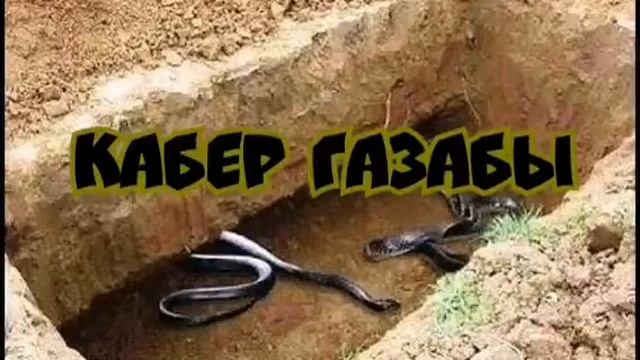 Кабер газабы