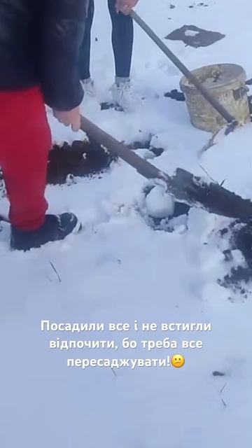 Посадили все і не встигли відпочити, бо треба все пере? смотреть онлайн