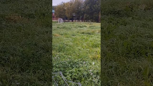 На даче под Минском.Грядки на зиму закрыты.06.10.24 г.