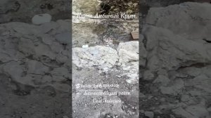 Кафе на берегу озера в Бахчисарайском районе.