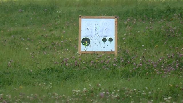 Shoot Target. Интересные мишени.Пневматика иж 60.